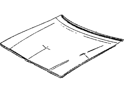 Buick 25505704 Rear Molding