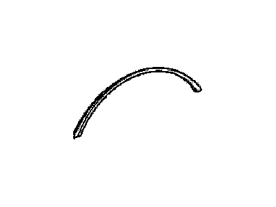 Pontiac 10013619 Molding