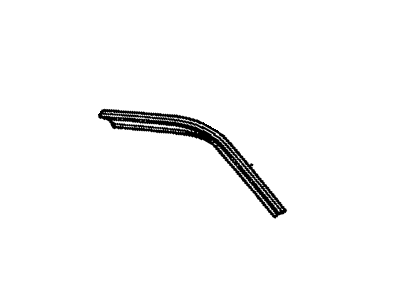Buick 20579863 Molding