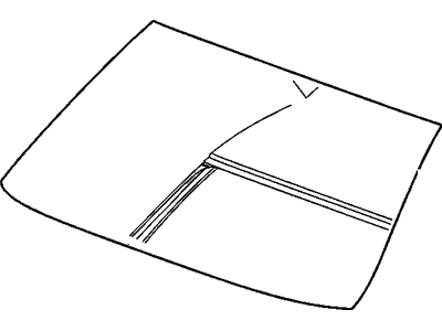GM 25783546 Windshield, Windshield