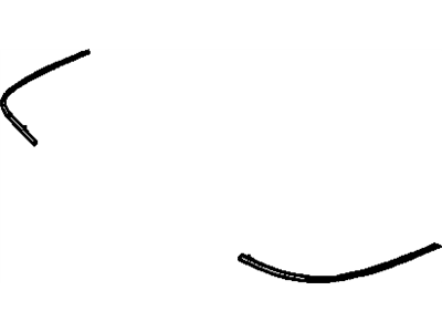 Buick 25658172 Molding
