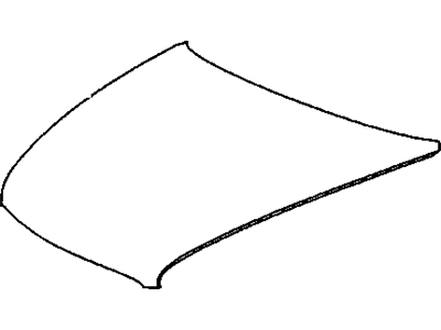 Buick 25618814 Hood