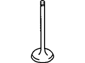 Chevrolet Intake Valve - 55557862 Intake Valve