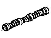 GMC C2500 Camshaft - 10241264 Camshaft