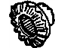 GM 15513721 Gear, Differential Carrier