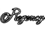 GM 20744369 Plate, Front Side Door, Outer