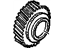 GM 19260952 Gear, Transmission First/Reverse Gear