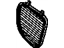 GM 22635628 Grille, Black, Passenger Side
