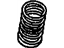 GM 94857143 Valve Springs