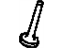 GM 22542314 Exhaust Valve