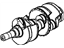 GM 12561395 Crankshaft