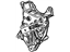 GM 12637995 Bracket, Generator Mounting GM 12637995 Bracket, Generator Mounting
