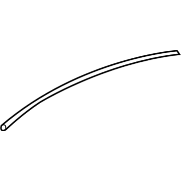 Buick 19120774 Roof Molding