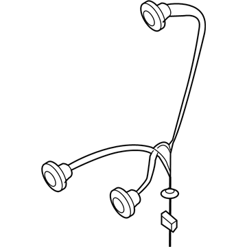 Pontiac 96650808 Socket & Wire