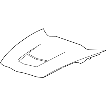 GM 84167868 Hood