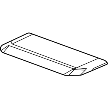 GM 84861710 Center Molding, Black