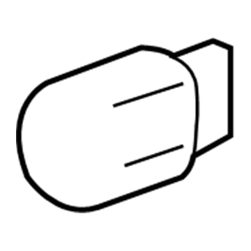 Chevy 13579188 Bulb