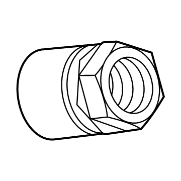 Chevy 13581557 TPMS Sensor Nut