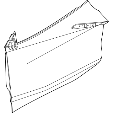 GM 85134018 Door Shell, Front Driver Side