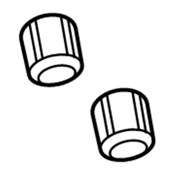 Buick 15945835 Button