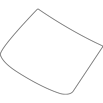 GM 19317639 Windshield