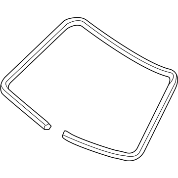 Chevy City Express Weather Strip - 19317267