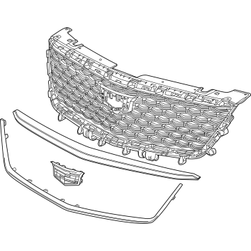 GM 42861897 Grille Assembly, Front