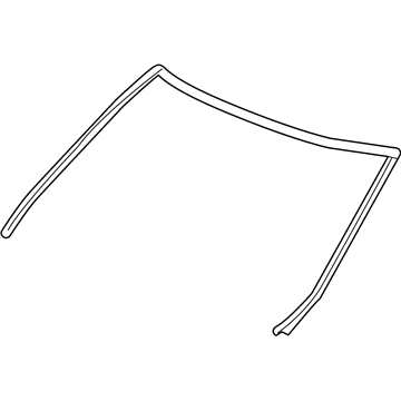 Chevy 10318304 Reveal Molding