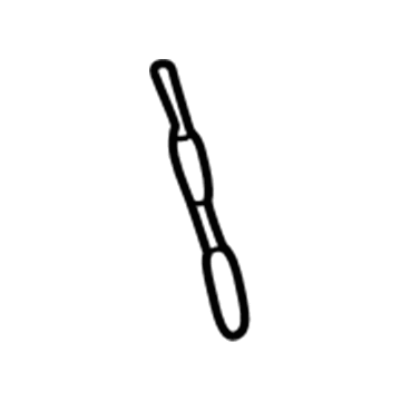 Pontiac 19117040 Mast