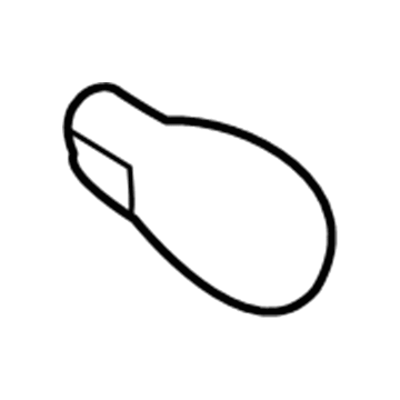 GM 88996946 Tail Lamp Bulb