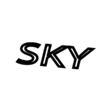 2010 Saturn Sky Emblem - 15247733