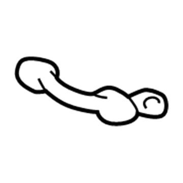 Pontiac 22614041 Assist Strap