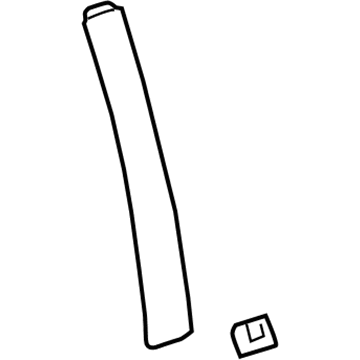 GM 19351648 Applique, Front Passenger Side