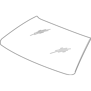 GM 15229540 Windshield