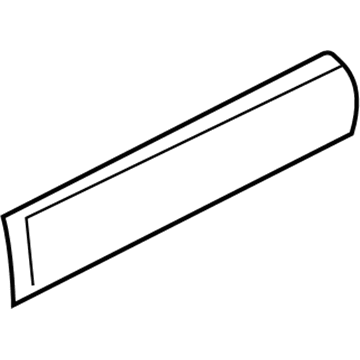 Chevy P30 Door Moldings - 15960364