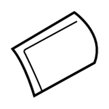 GM 15960367 Body Side Molding, Outer Passenger Side