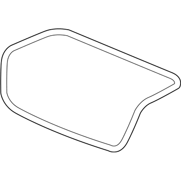 2011 Chevy Impala Weather Strip - 89025247