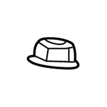 Buick 11517996 Top Nut