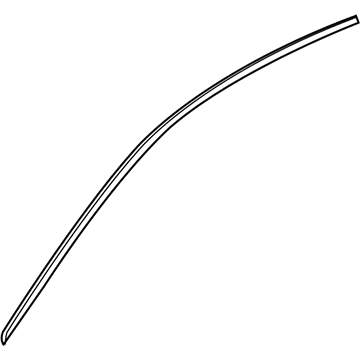 Buick LaCrosse Door Moldings - 23155262