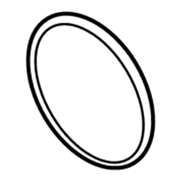 Chevy Thermostat Gasket - 19316306