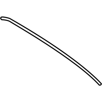 Chevy Trailblazer Weather Strip - 42707815