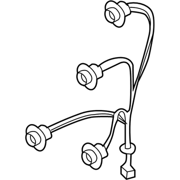 GM 96499311 Socket & Wire