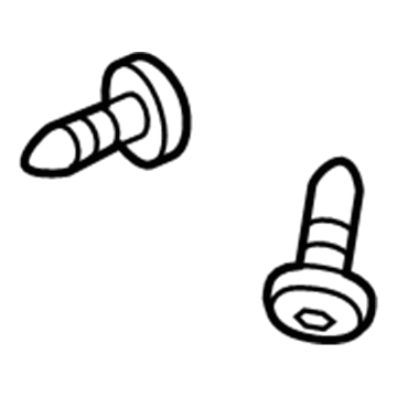 Buick 11609460 Applique Screw