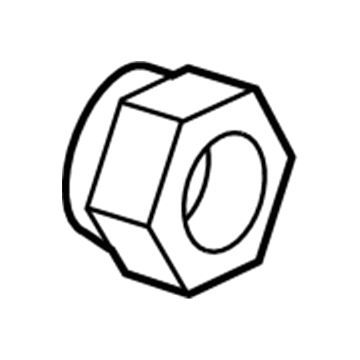 Chevy 10289657 Axle Nut