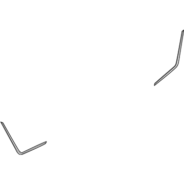 Chevy 96541148 Seal Strip