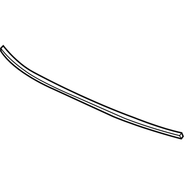 Chevy Express 1500 Weather Strip - 25760644