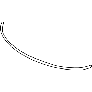 Chevy Cavalier Weather Strip - 22583856