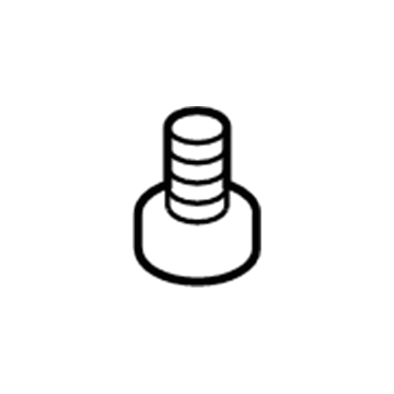 Chevy 11609406 License Lamp Screw