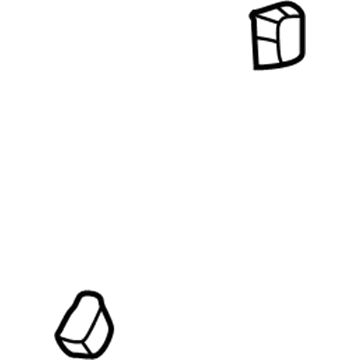 GM 15649215 Shield Nut