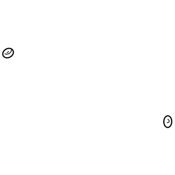 Buick Exhaust Flange Gasket - 24505057